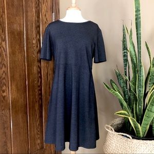 TravelSmith Charcoal Stretch Knit Skater Dress